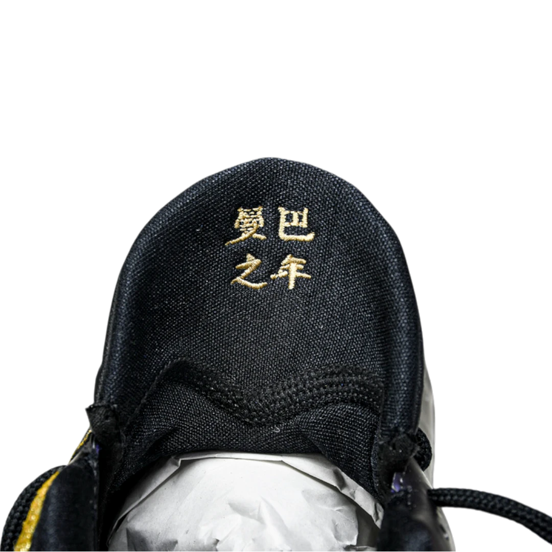 Kobe 5 Protro Year of the Mamba 'Eggplant'