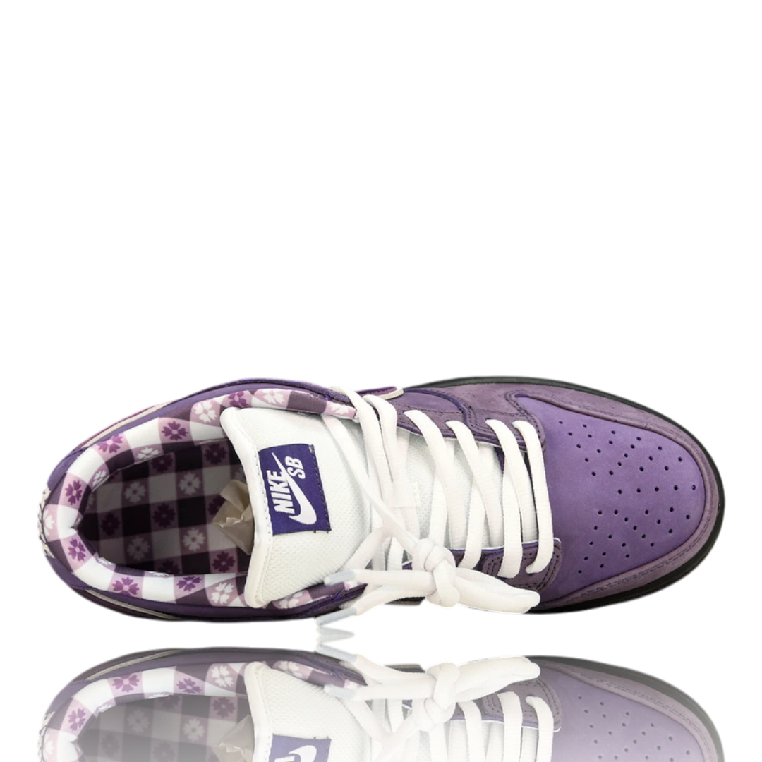 Concepts x SB Dnk Low 'Purple Lobster'
