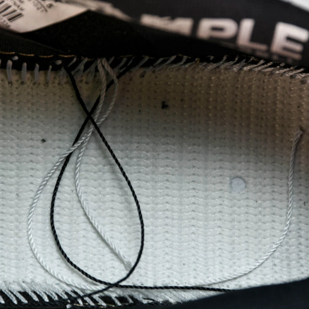 Jeff Staple x SB Dnk Low 'Panda Pigeon'