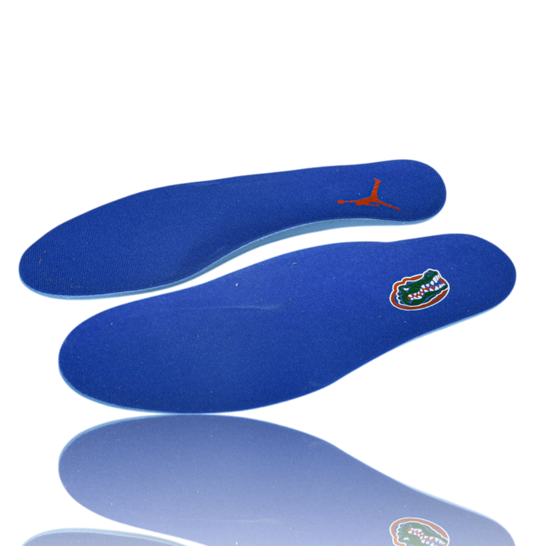 AJ4 Retro 'Florida Gators PE'