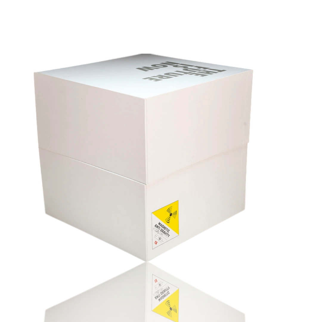 Air MAG Back To The Future (Auto-Lacing) 2016