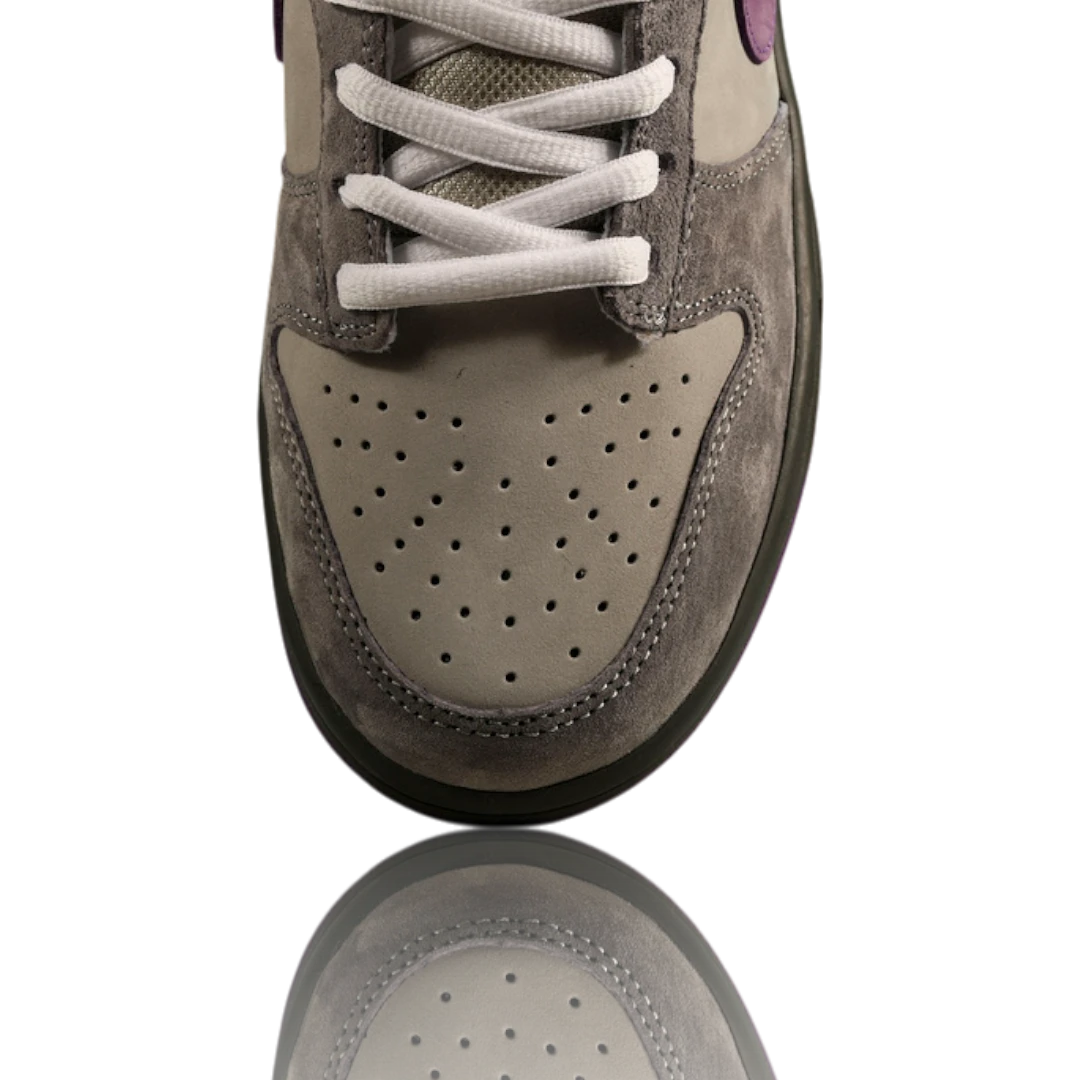 Jeff Staple x SB Dnk Low 'Purple Pigeon'