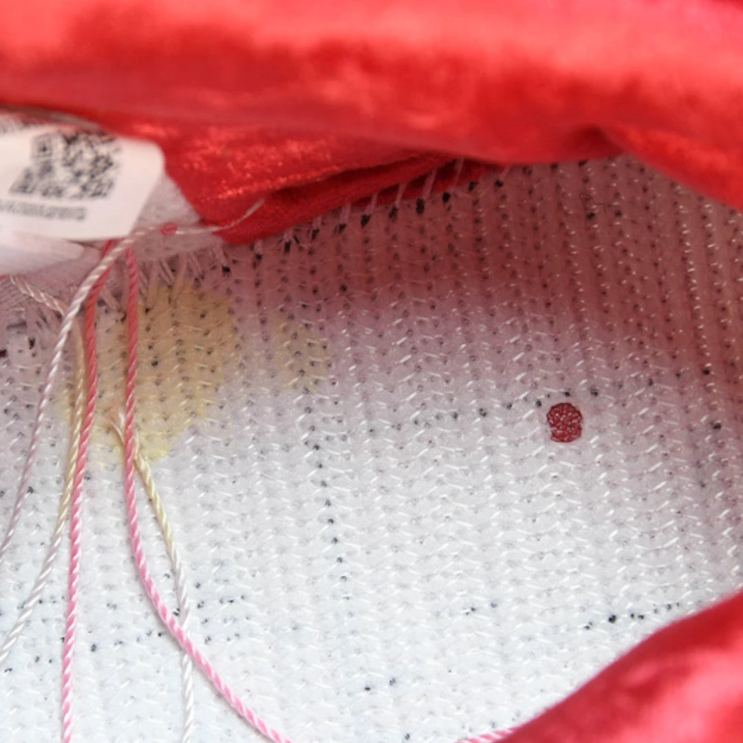 StrangeLove Skateboards x SB Dnk Low