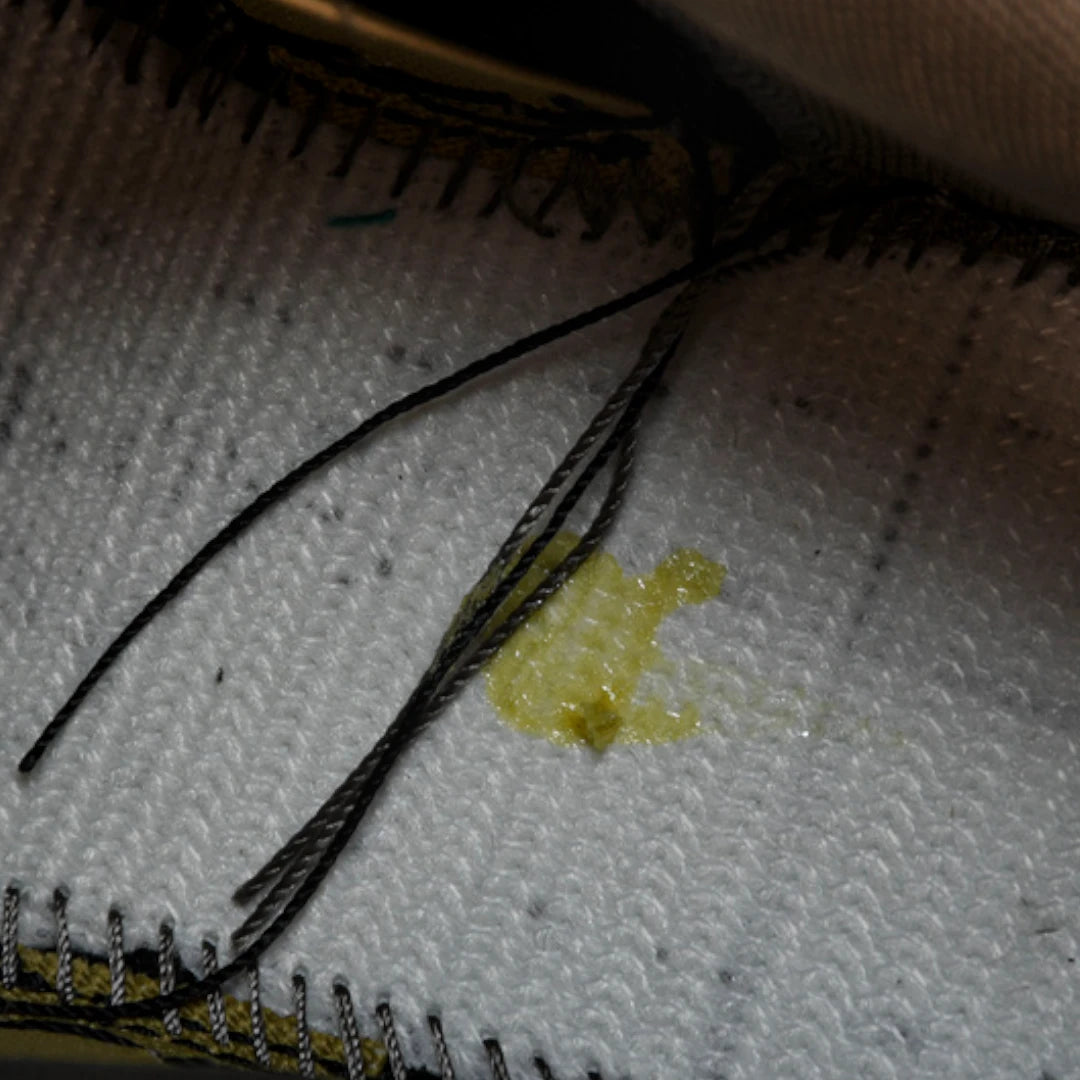 Travis Scott x SB Dnk Low