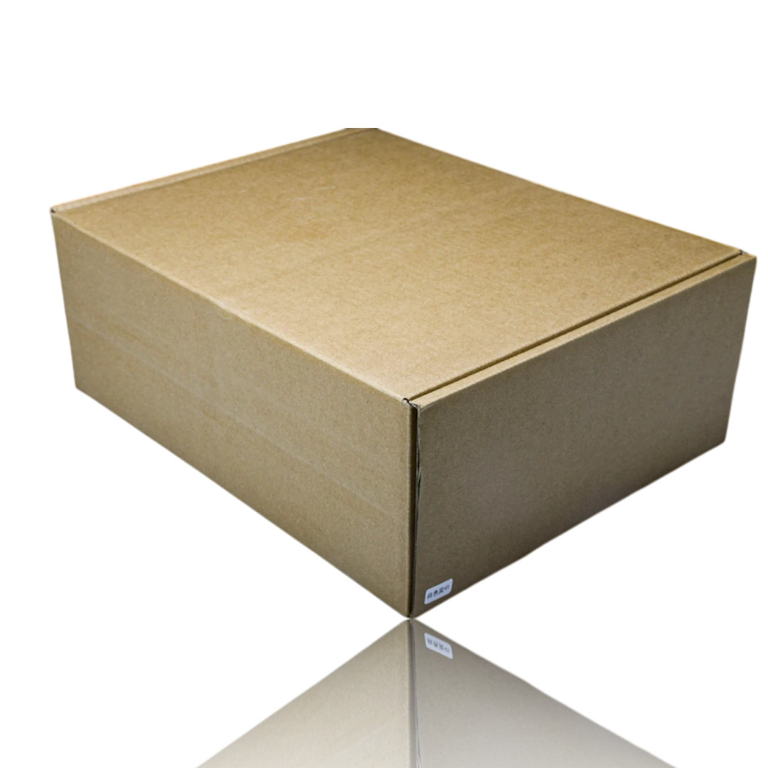 NB 530 SL x Miu Miu 'White Gum'