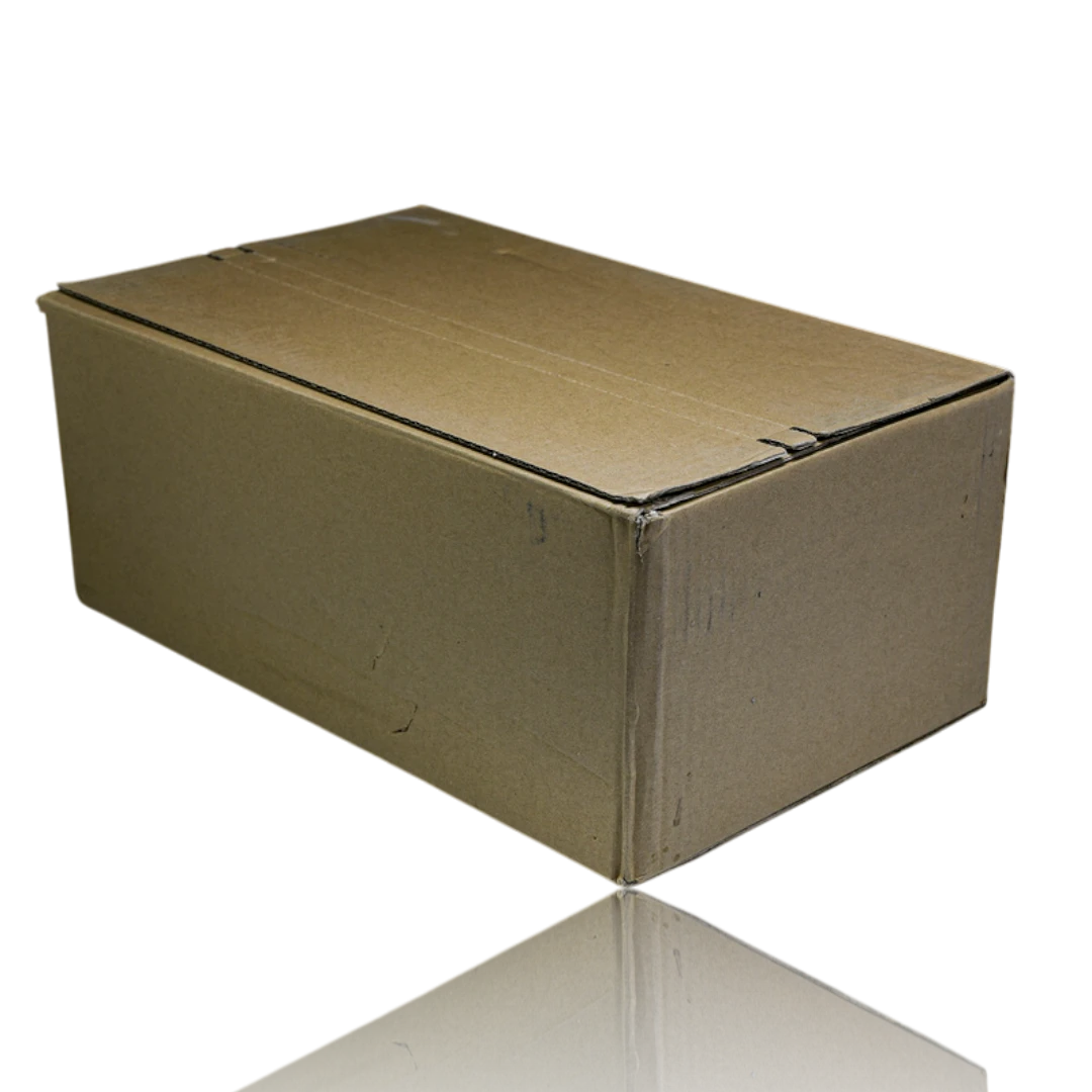 Guссi Ace Web 'White'