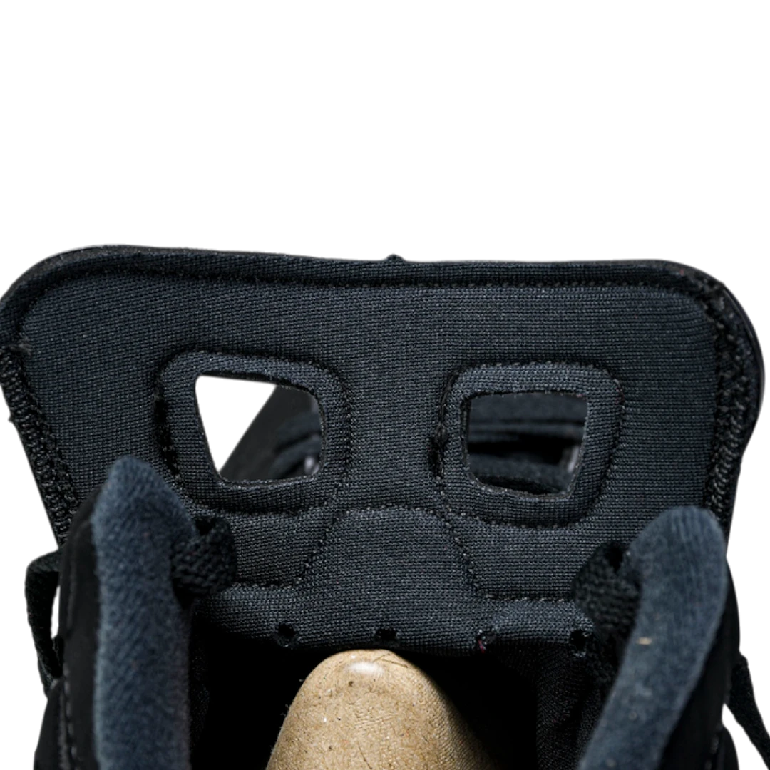 AJ6 Retro 'Black Infrared' (2019)