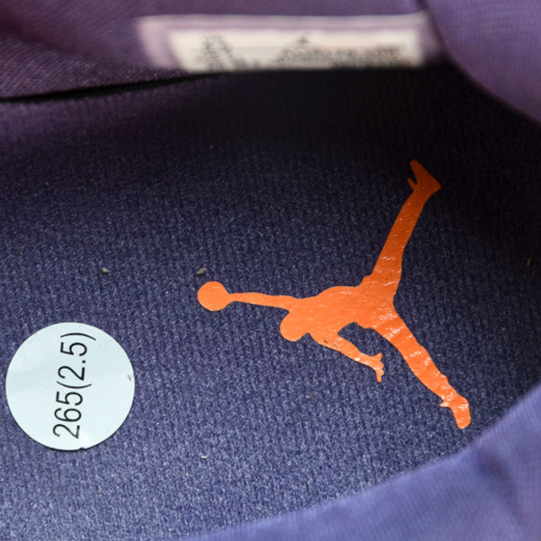 AJ4 Retro 'Canyon Purple'