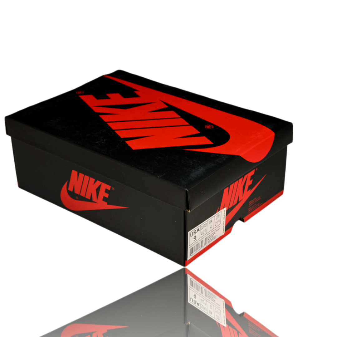 AJ1 Retro High 'Igloo'