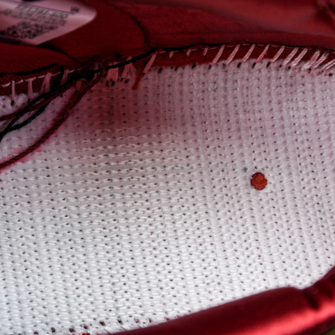 The Wizard of Oz x SB Dnk Low 'Poppy Field'