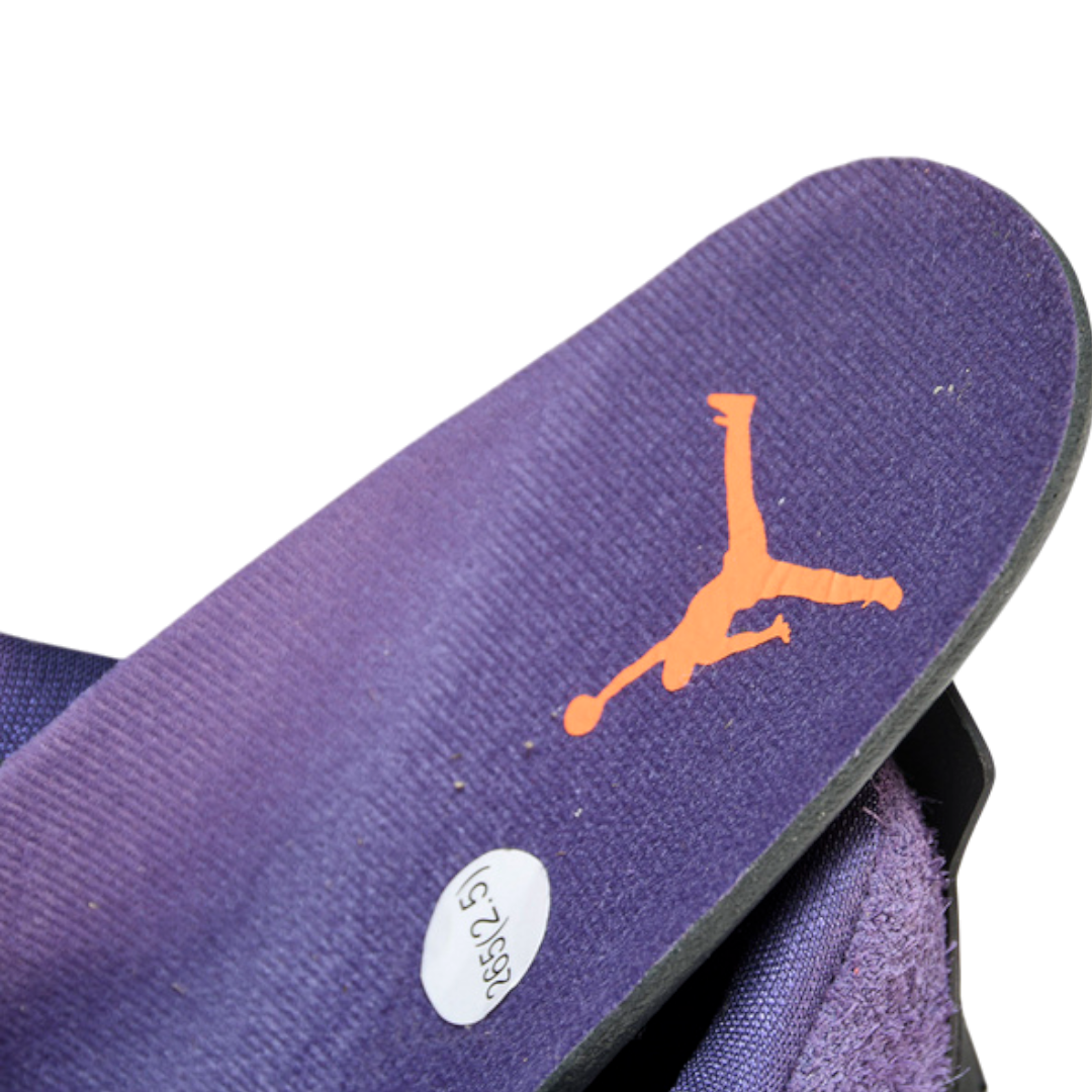 AJ4 Retro 'Canyon Purple'