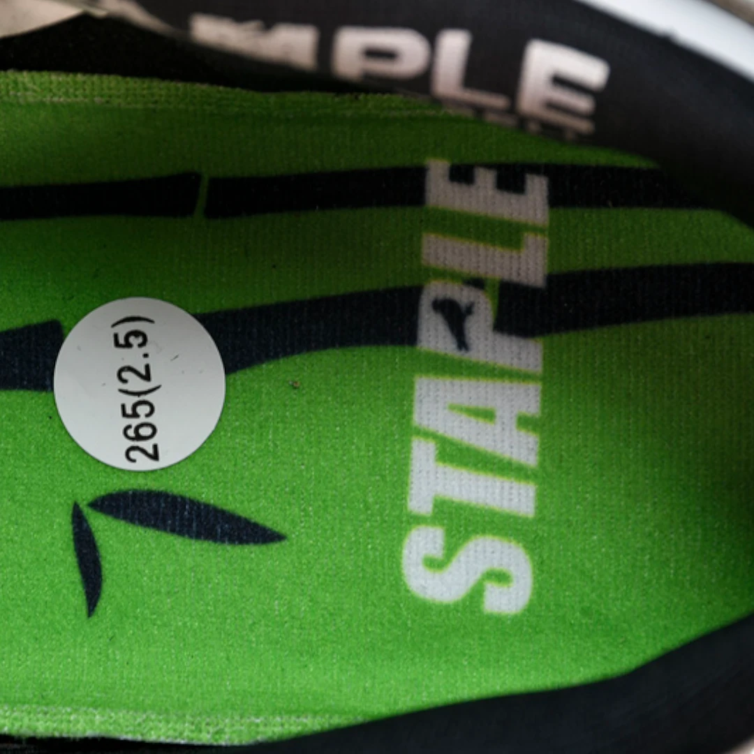 Jeff Staple x SB Dnk Low 'Panda Pigeon'