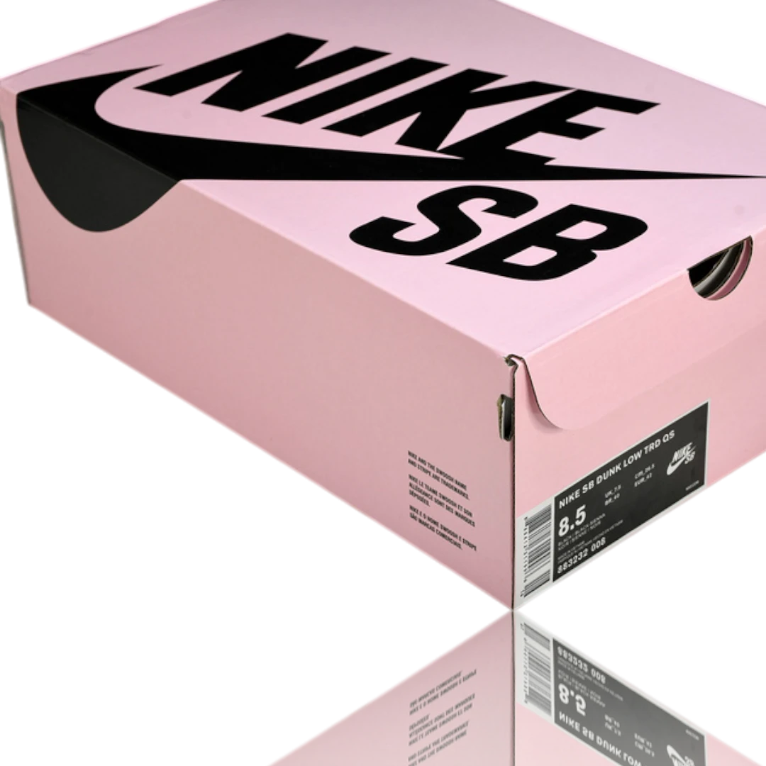 Jeff Staple x SB Dnk Low 'Black Pigeon'