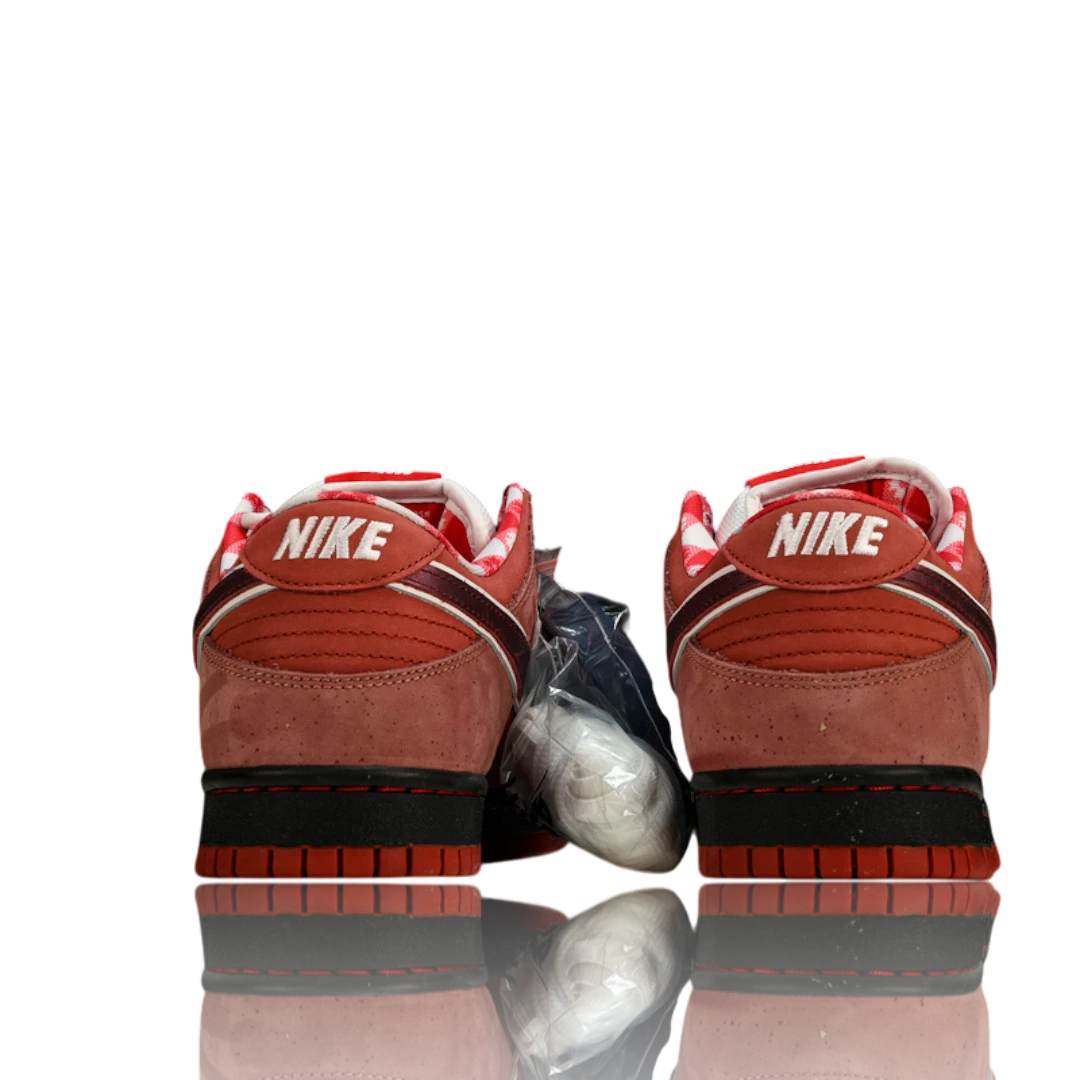 Concepts x SB Dnk Low 'Red Lobster'
