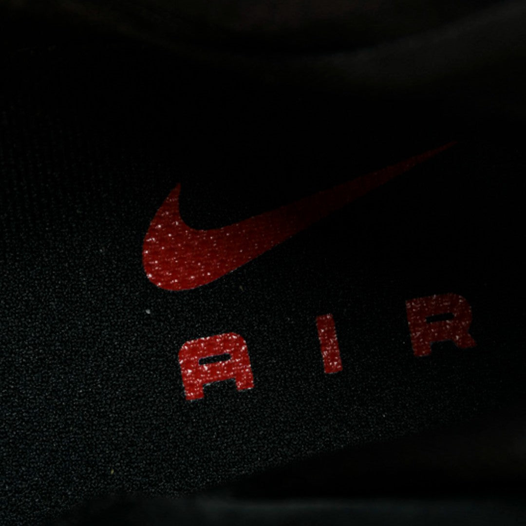 Air Foamposite Pro 'Sequoia'