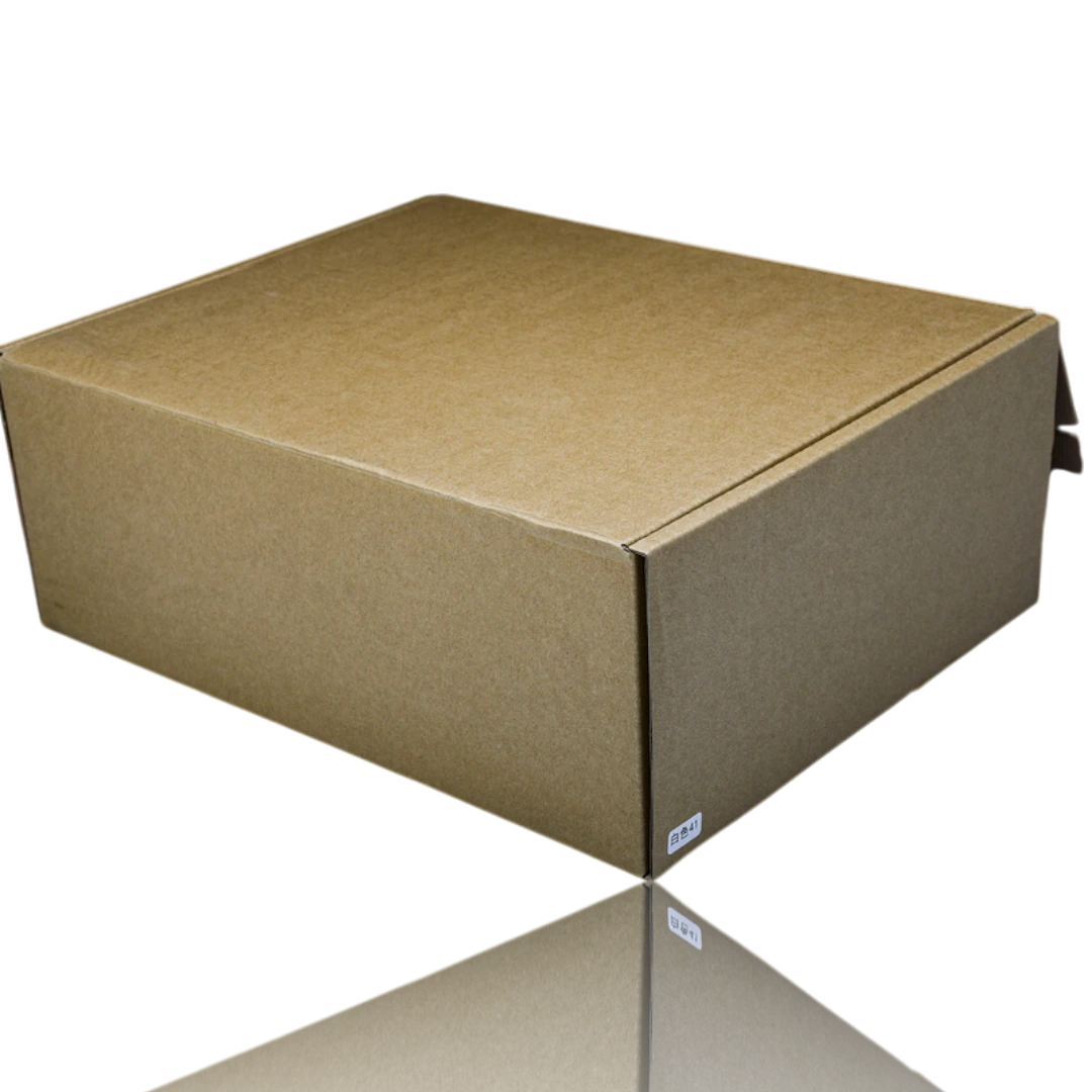 NB 530 SL x  Miu Miu 'White'