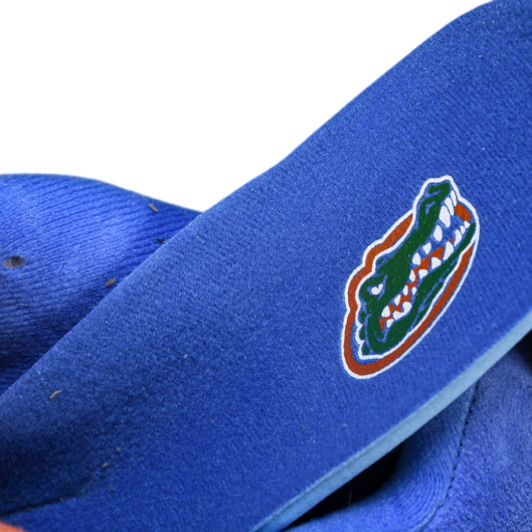 AJ4 Retro 'Florida Gators PE'