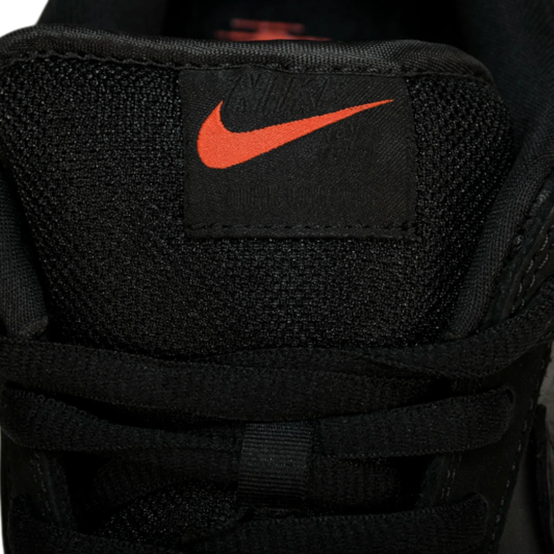 Jeff Staple x SB Dnk Low 'Black Pigeon'