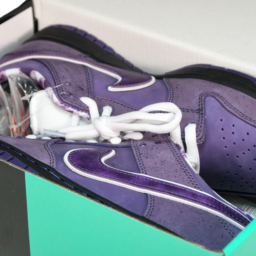 Concepts x SB Dnk Low 'Purple Lobster'