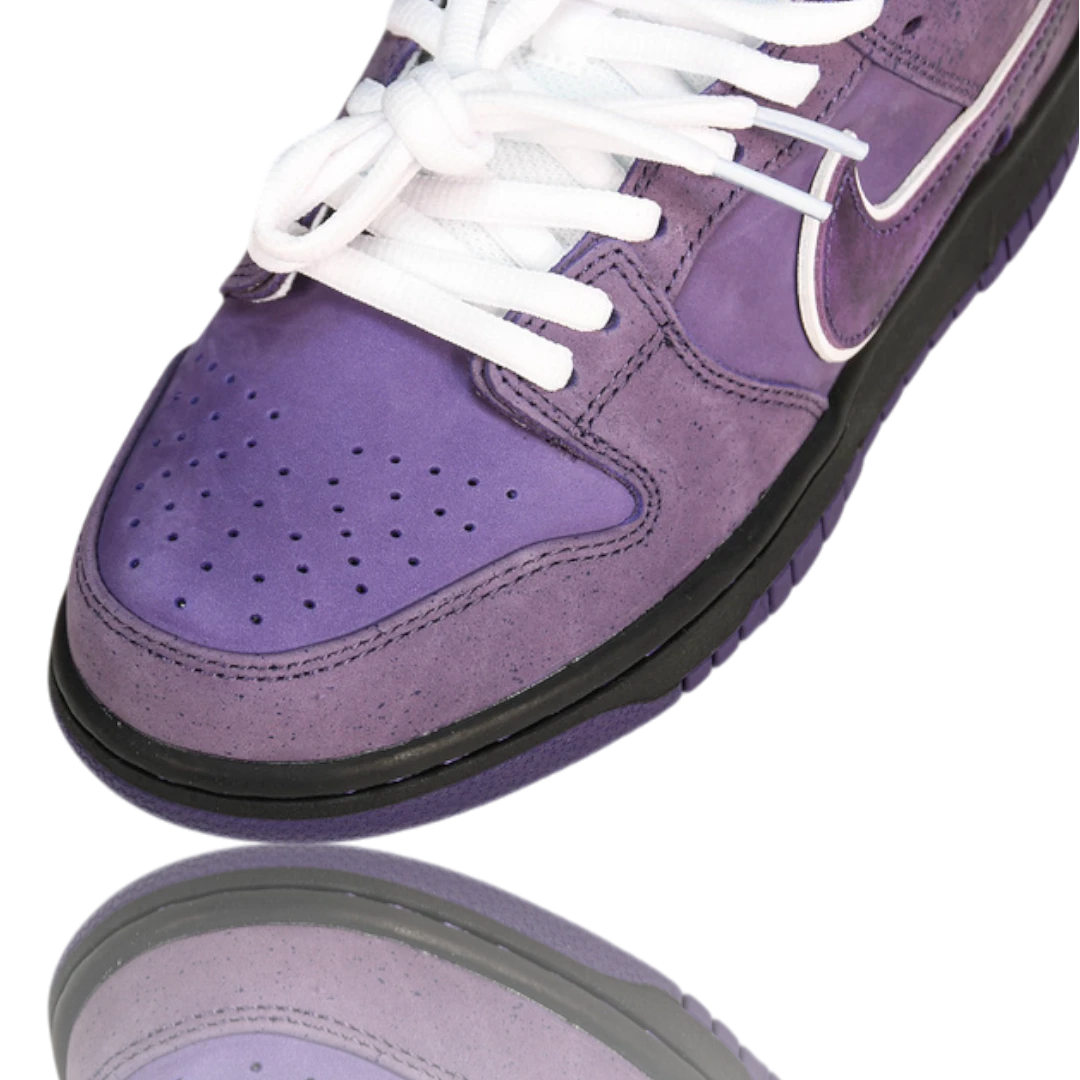 Concepts x SB Dnk Low 'Purple Lobster'