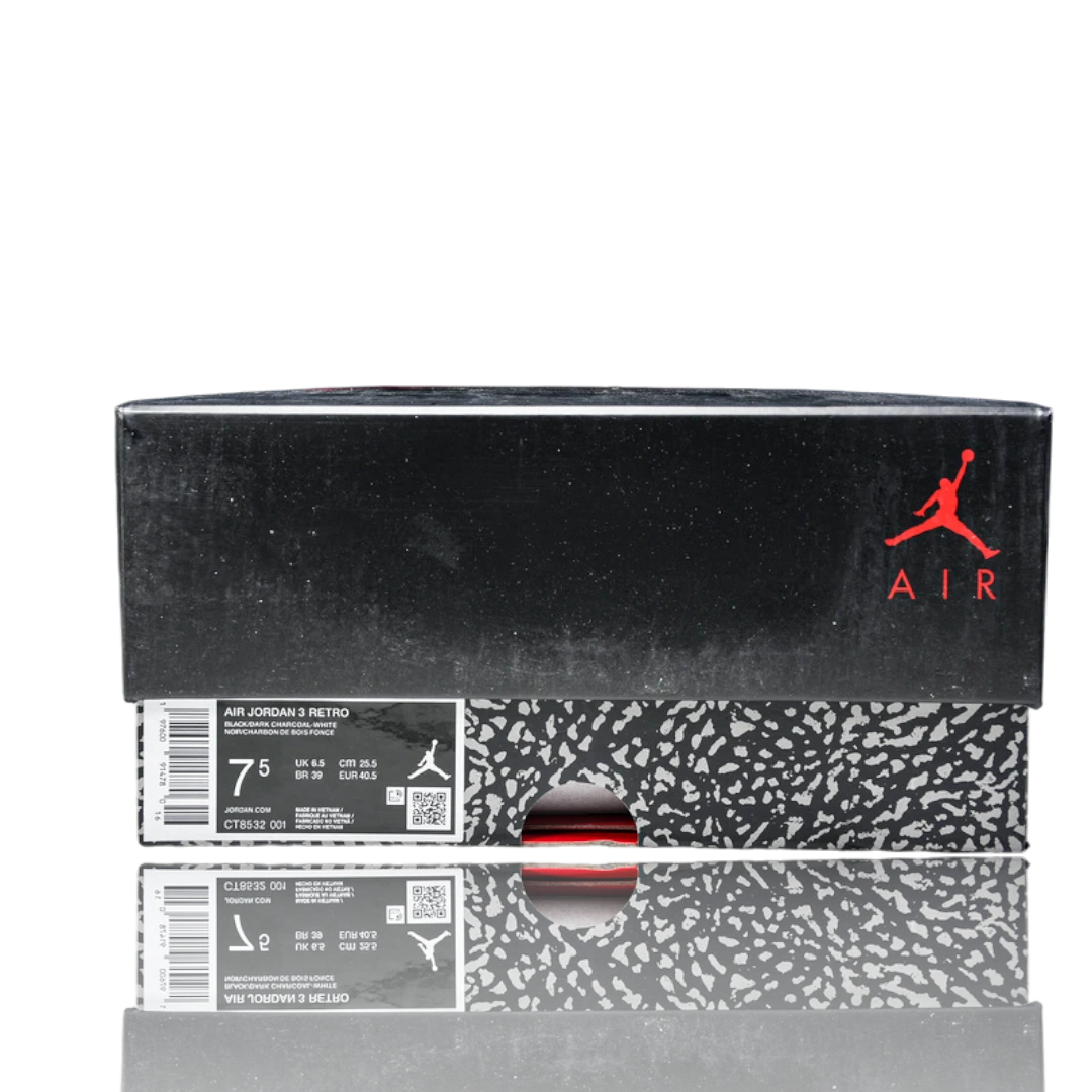 AJ3 Retro 'Black Cat' (2025)