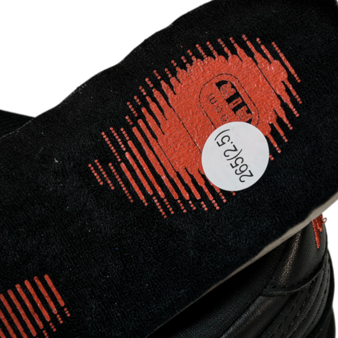 Jeff Staple x SB Dnk Low 'Black Pigeon'