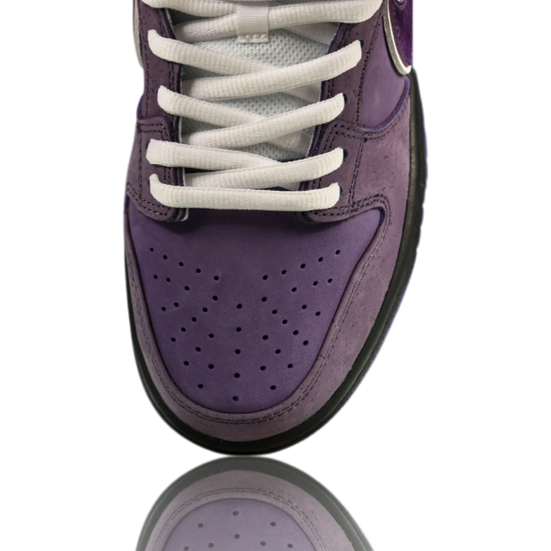 Concepts x SB Dnk Low 'Purple Lobster'