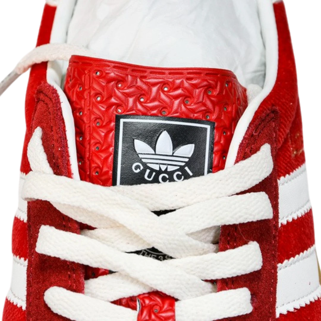 Guссi x Gazelle 'Red Velvet'