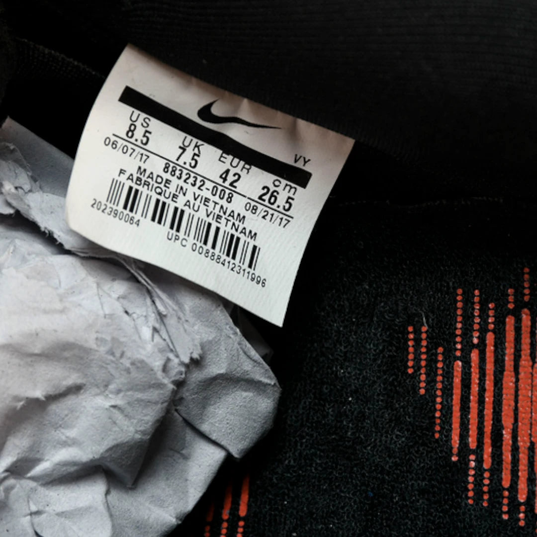 Jeff Staple x SB Dnk Low 'Black Pigeon'