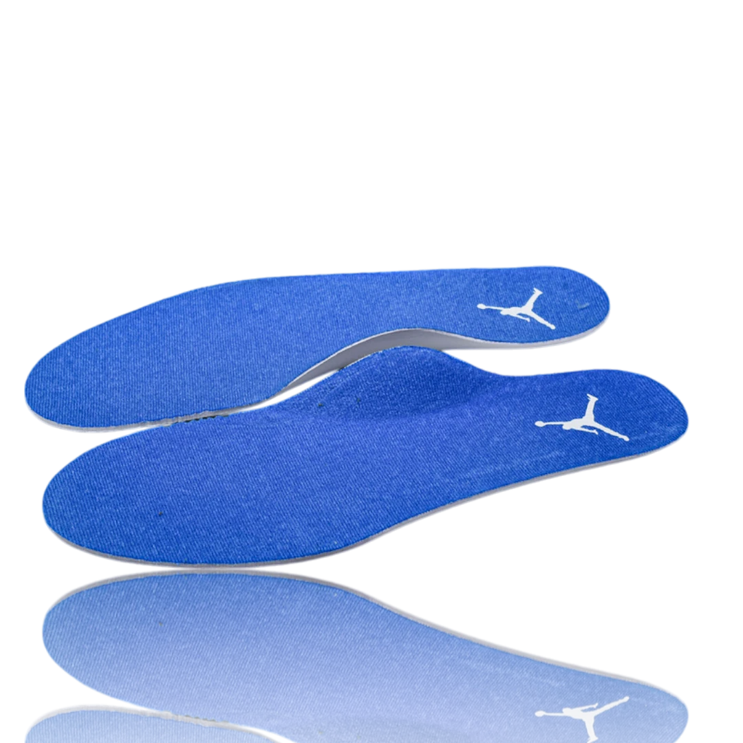 (Unreleased) AJ4 Retro x Blastoise