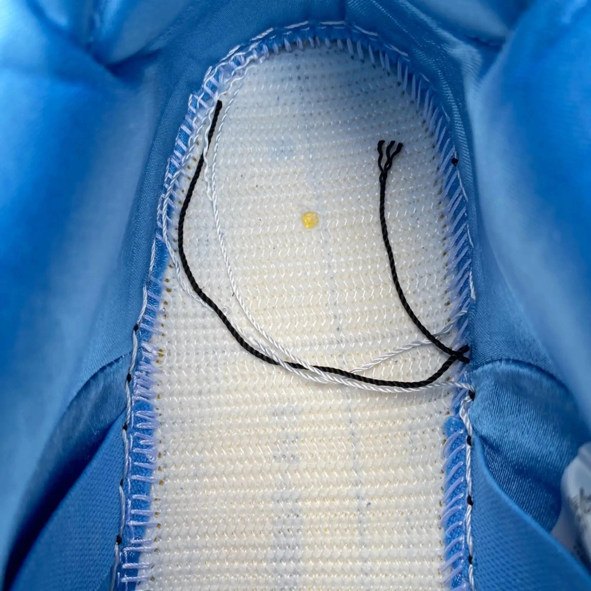 PowerPuff Girls x SB Dnk Low 'Bubbles'