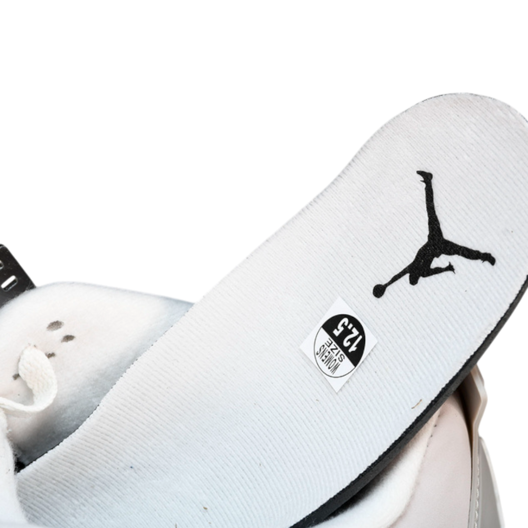 AJ4 Retro WMNS 'Frozen Moments'